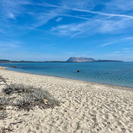 Iss Travel, San Teodoro 1 - 100 M From Cala D'Ambra Beach Экстерьер фото