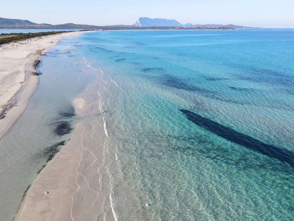 Iss Travel, San Teodoro 1 - 100 M From Cala D'Ambra Beach Экстерьер фото