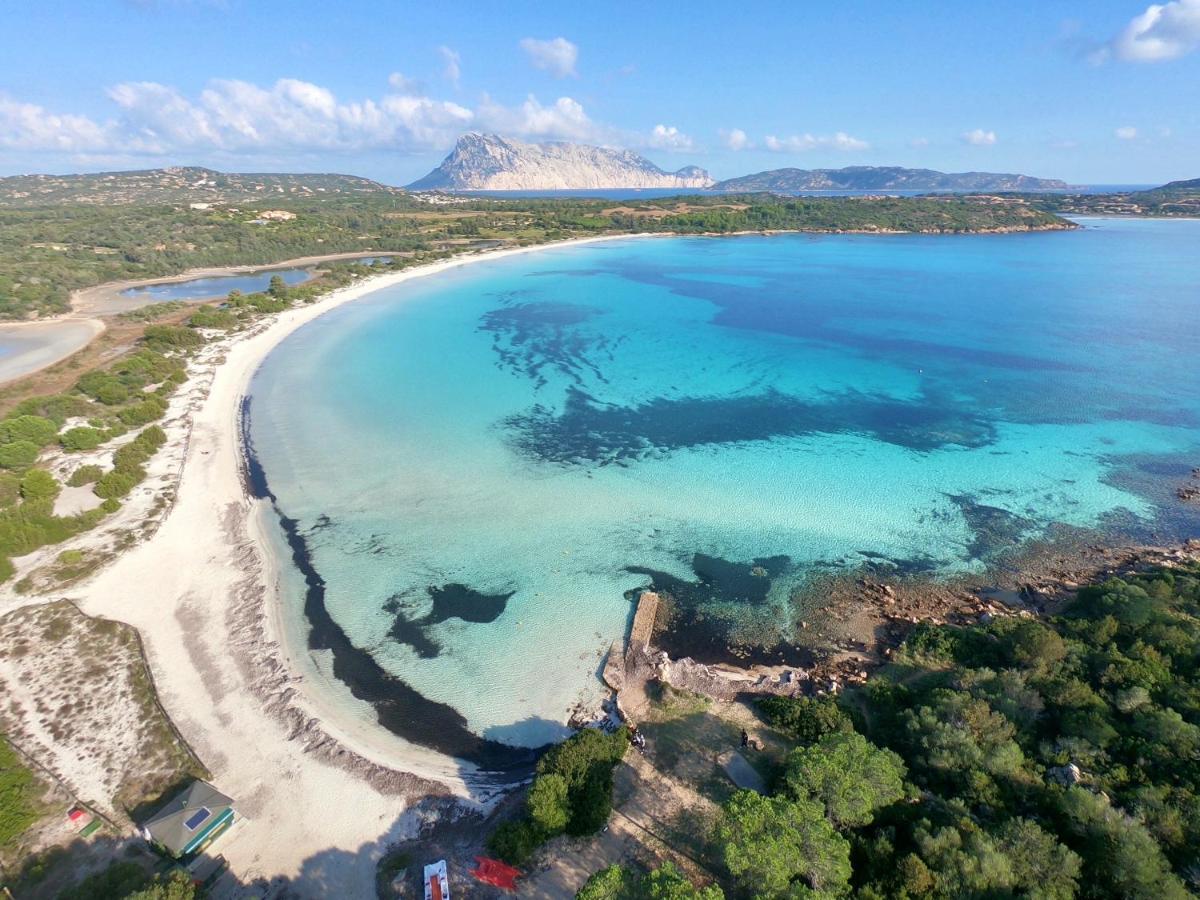 Iss Travel, San Teodoro 1 - 100 M From Cala D'Ambra Beach Экстерьер фото