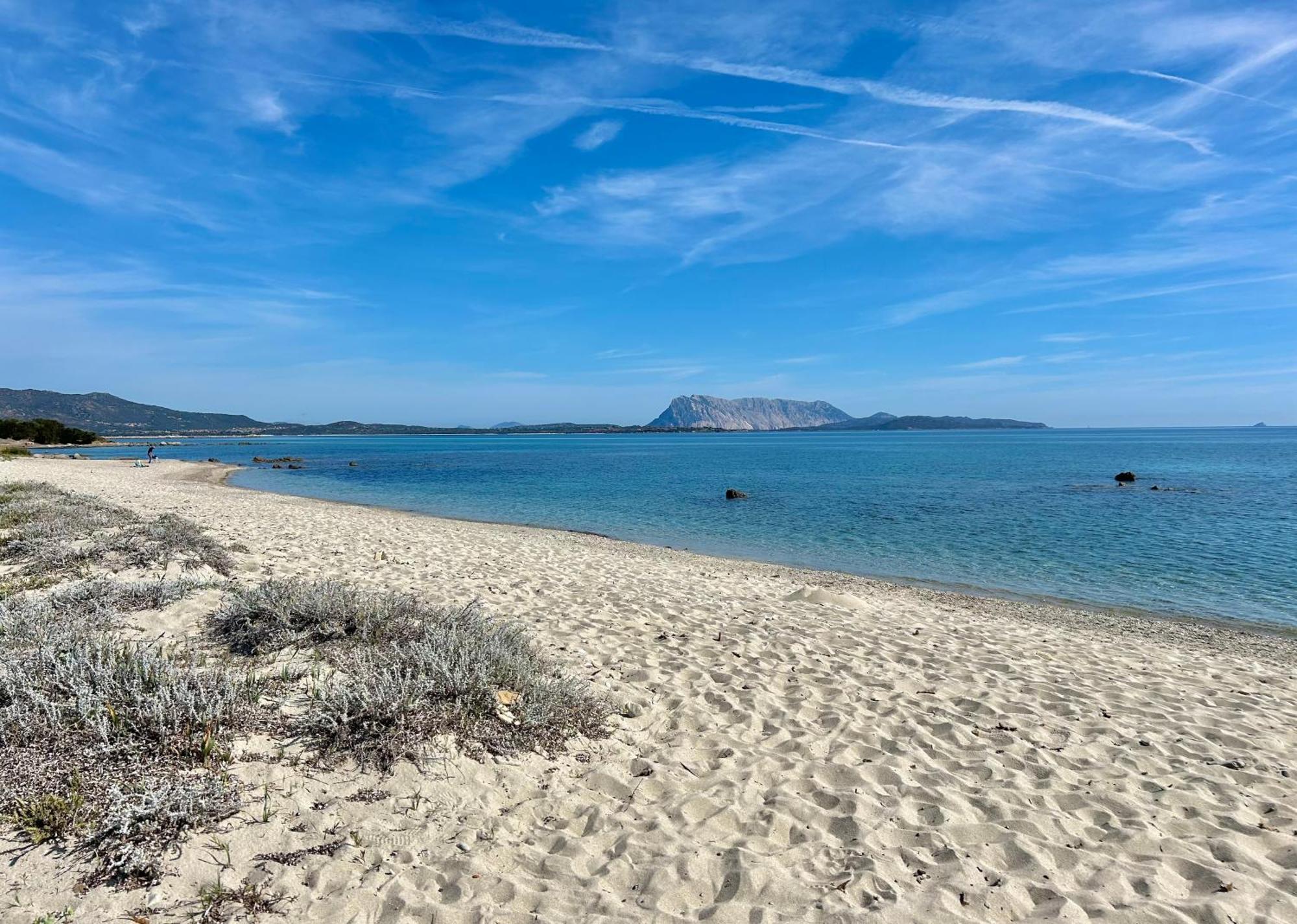 Iss Travel, San Teodoro 1 - 100 M From Cala D'Ambra Beach Экстерьер фото